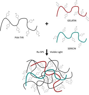 Hydrogels for 3D Neural Tissue Models: Understanding Cell-Material Interactions at a Molecular Level